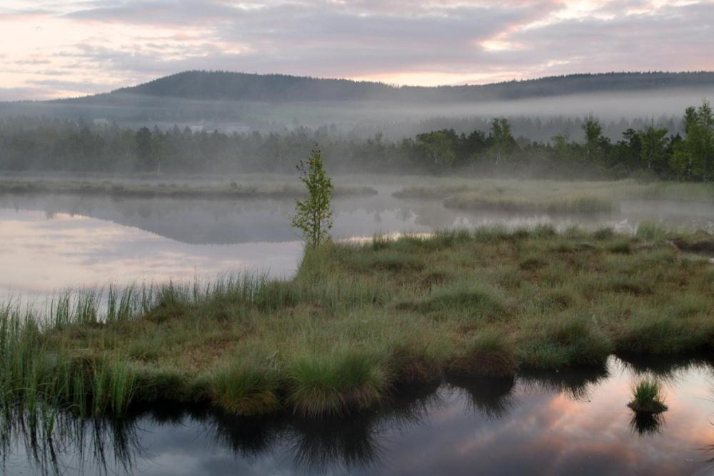 Penzion U Provaznika Zdíkov Buitenkant foto