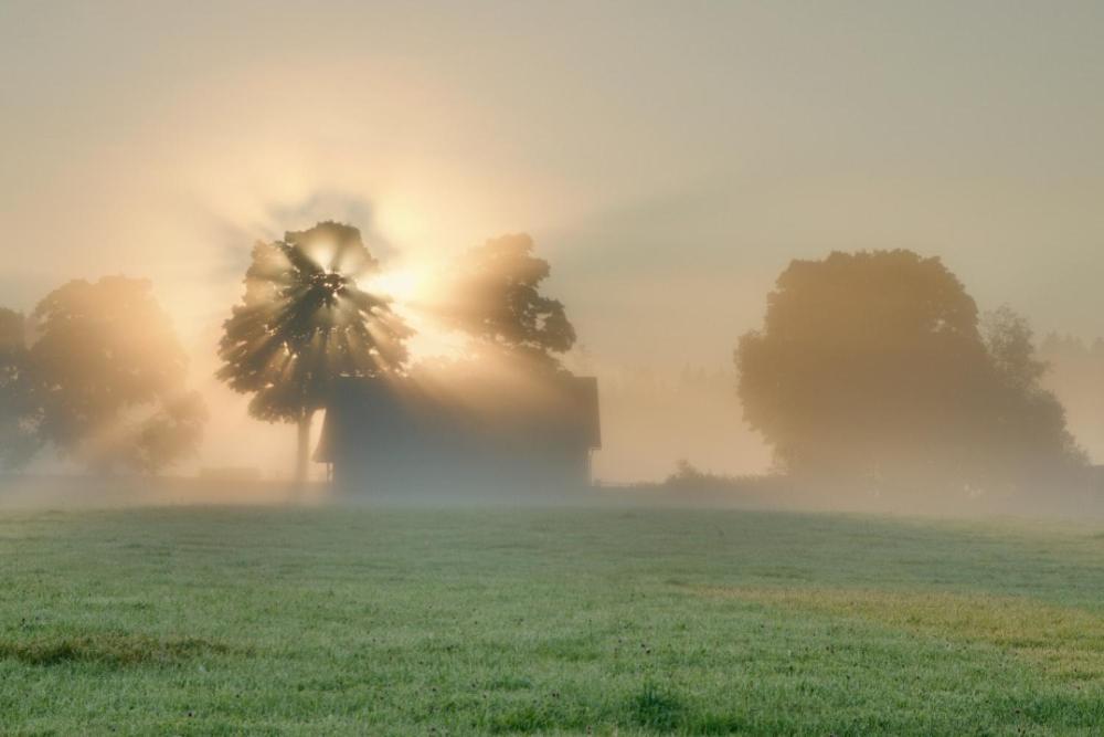 Penzion U Provaznika Zdíkov Buitenkant foto