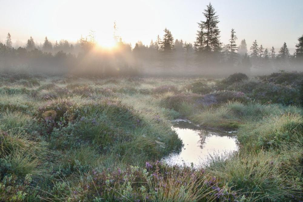 Penzion U Provaznika Zdíkov Buitenkant foto